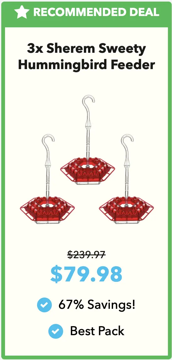 discounted Sherem Hummingbird Feeder