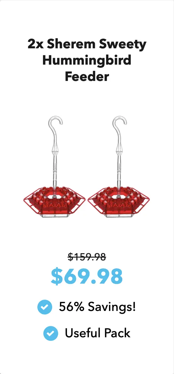 sale Sherem Hummingbird Feeder