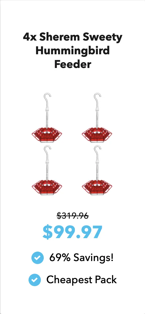 offer Sherem Hummingbird Feeder