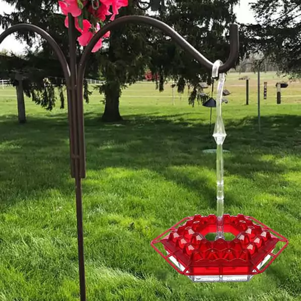 Sherem Hummingbird Feeder customer
