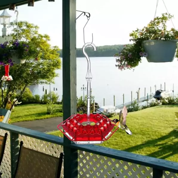 Sherem Hummingbird Feeder users