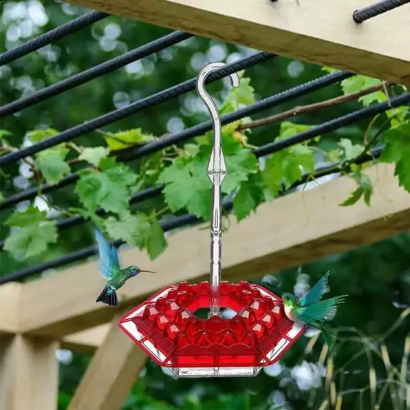 Sherem Hummingbird Feeder reviews