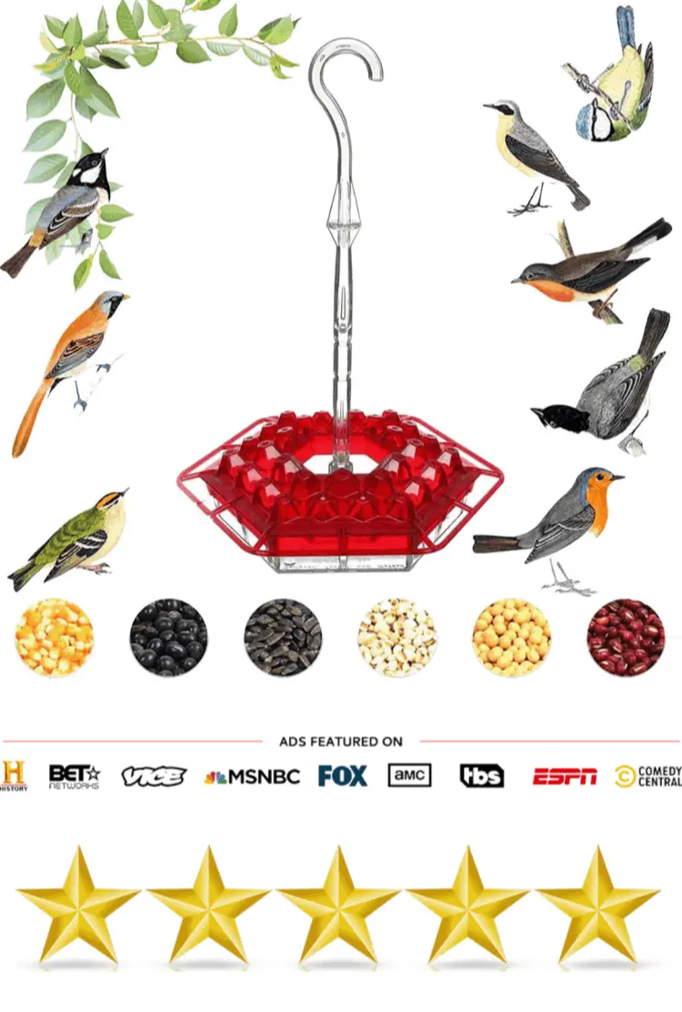 Sherem Hummingbird Feeder